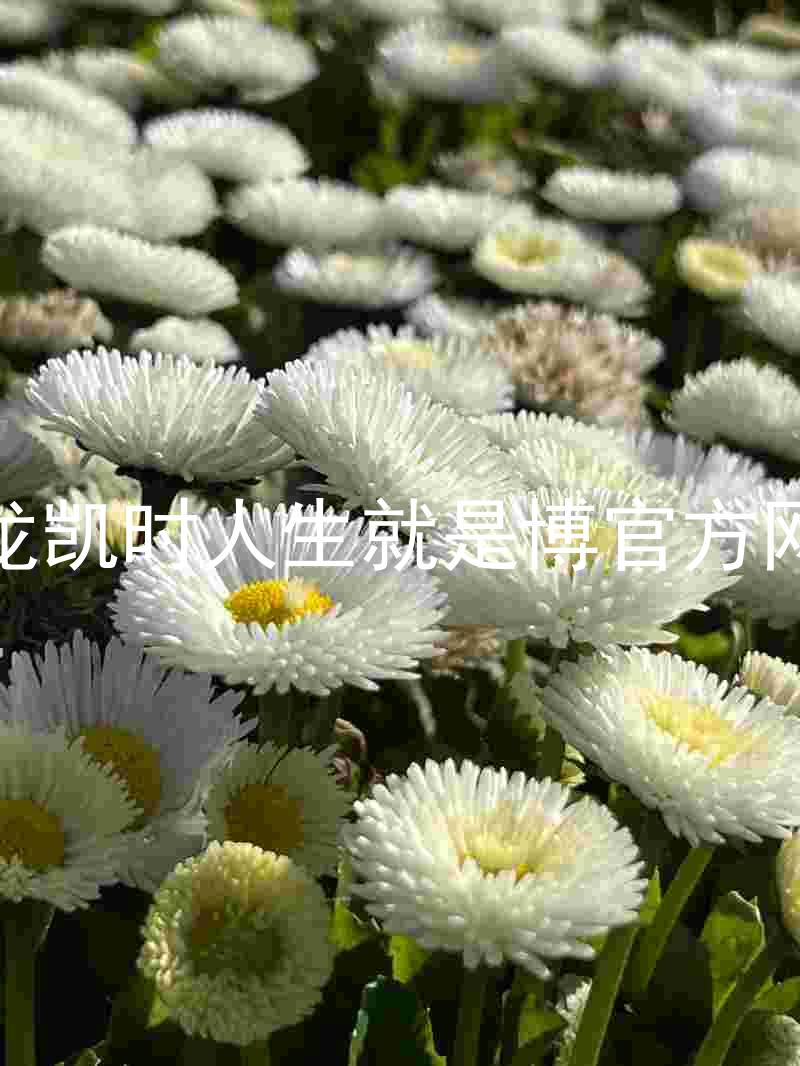 尊龙凯时人生就是博官方网站