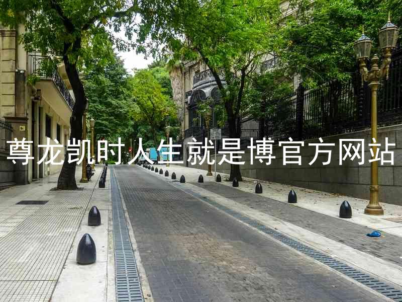 尊龙凯时人生就是博官方网站